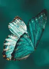 Buddhist Mind Science, Module 2