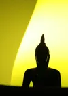 Sunday Meditation