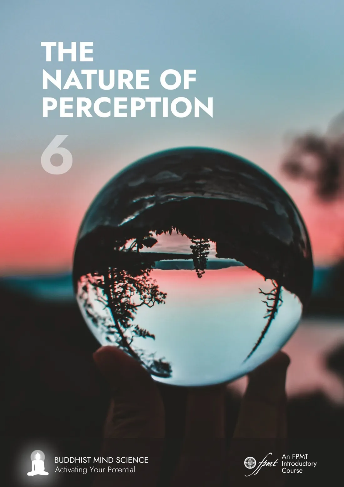 Buddhist Mind Science, Module 6