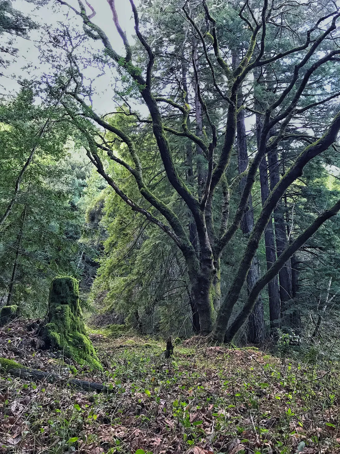 Sanborn County Park