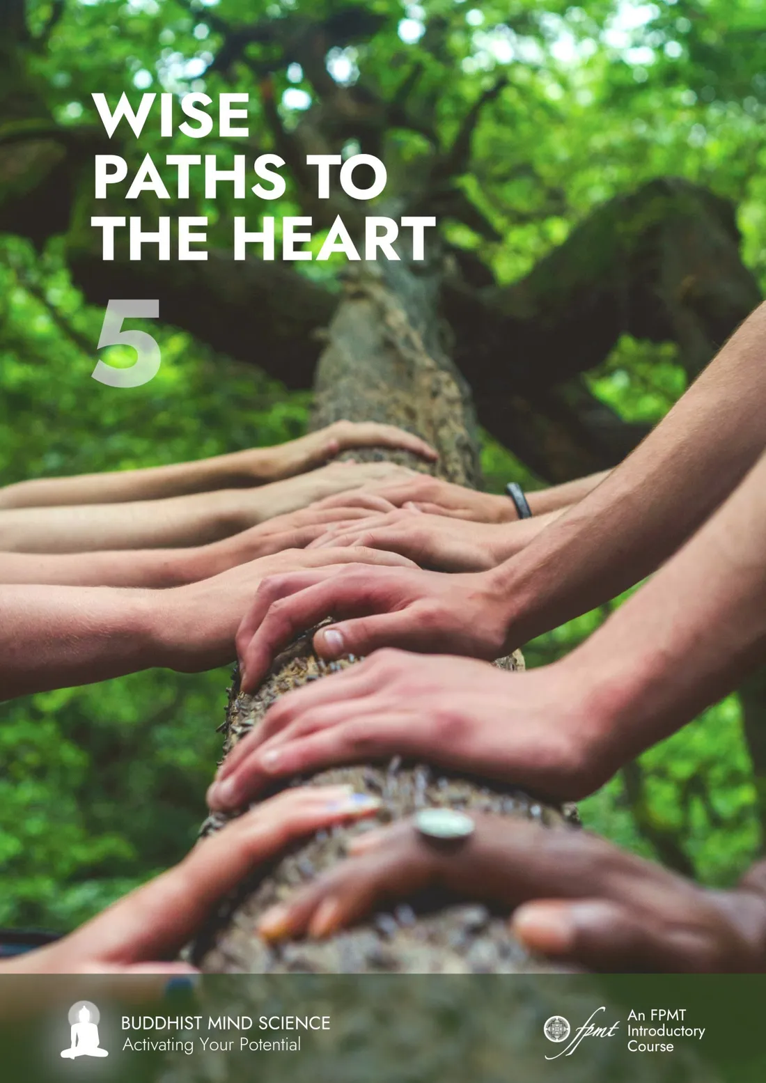 Buddhist Mind Science, Module 5