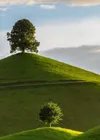 Hill