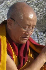 Gyumed Khensur Rinpoche Lobsang Jampa