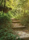 Buddhist Mind Science, Module 4
