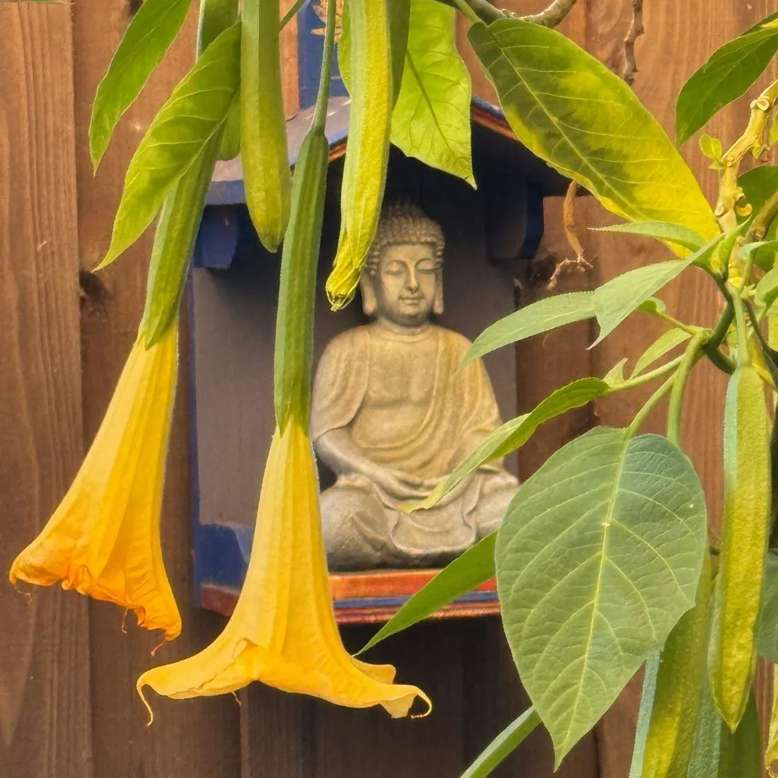Buddha behind Flowers