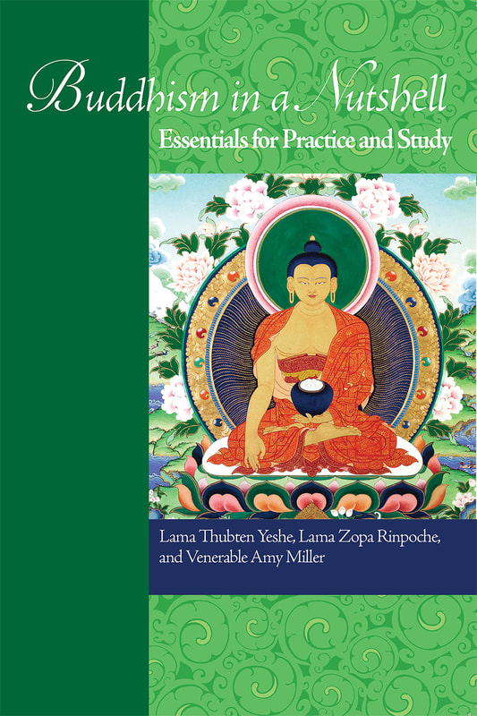 Buddhism in a Nutshell, Essentials for Practice and Study