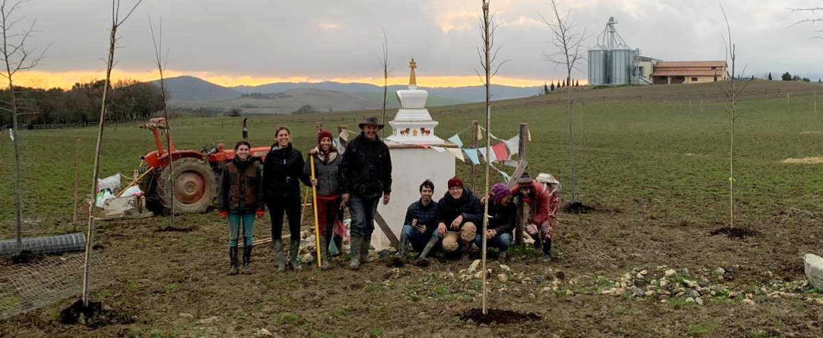 Tree planting with Tenzin Osel Hita